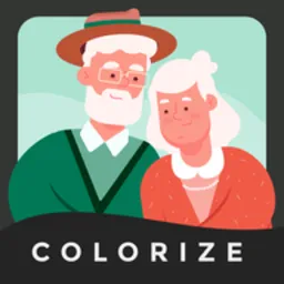 colorizer软件