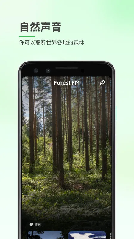 森林白噪音 v1.0.1 安卓版 2